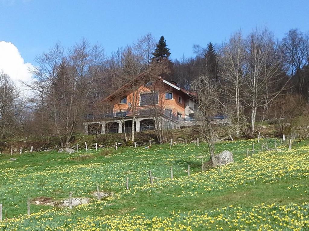 Gite De La Lombarde Ле-Толи Экстерьер фото